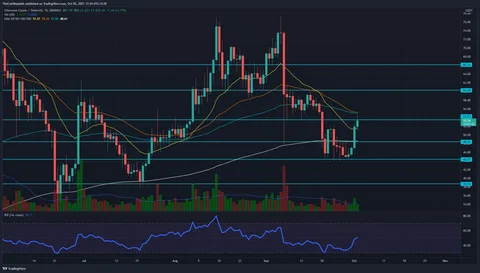 TradingView download free